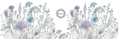 Marka KARiTEe