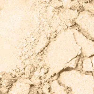 Bell Professional Bright Set Loose Powder (Wegański puder sypki rozświetlający do twarzy i ciała)