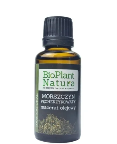 Bioplant Natura Macerat olejowy z morszczynu pęcherzykowatego