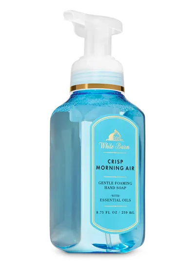 Bath & Body Works Crisp Morning Air, Foaming Hand Soap (Mydło do rąk w piance)