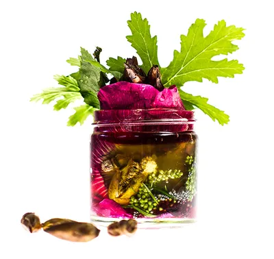 Trawiaste Krem `Hibiskus i pąki topoli`