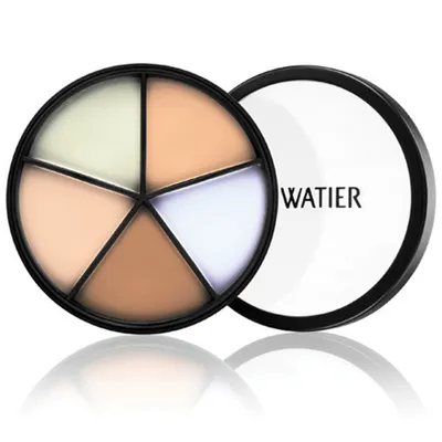 Lise Watier Portfolio Professional Correctors (Paleta korektorów)