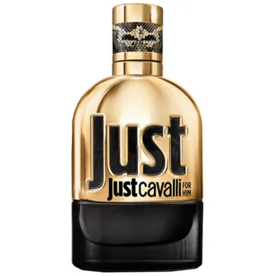 Roberto Cavalli Just Gold for Him EDP
