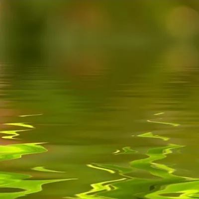Zrób sobie krem Hydrolat z jagodliny wonnej (Ylang-ylang)