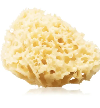 Huygens Clear Natural Mediterranean Sea Sponge (Naturalna morska gąbka do kąpieli do ciała i twarzy)