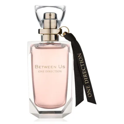 One Direction Between Us  EDP