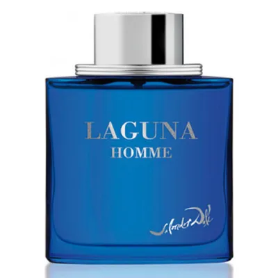 Salvador Dali Laguna Homme EDT