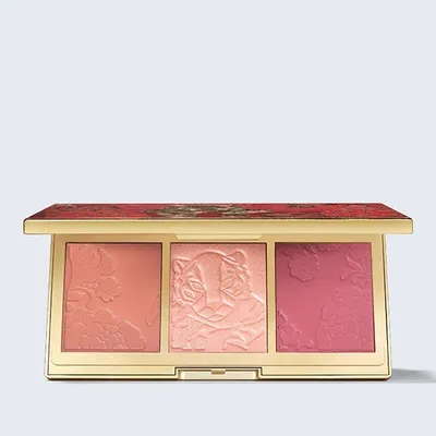 Estee Lauder Pure Color Envy Cheek Palette Be The Light (Paleta do makijażu twarzy)