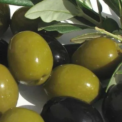 Biochemia Urody Skwalan z oliwek 100%