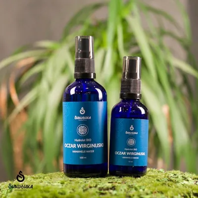 Shaushka Hydrolat oczar wirginijski bio