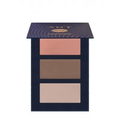 Pierre Rene Art, Paleta do twarzy `Cream Contouring `