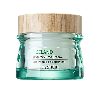The Saem Iceland, Water Volume Cream (Krem do twarzy do cery tłustej)