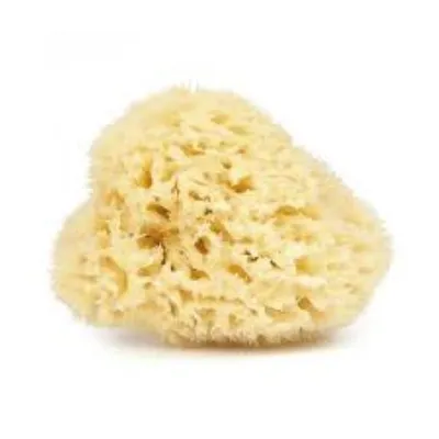 Najel Naturalna gąbka śródziemnomorska
