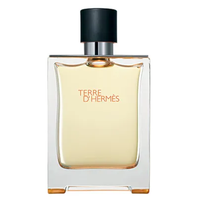 Hermes Terre D'Hermes EDT