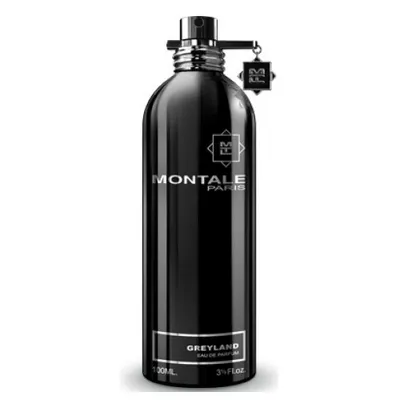 Montale Paris Greyland EDP