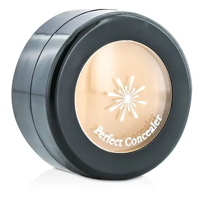 Missha The Style, Perfect Concealer (Kremowy korektor do twarzy)