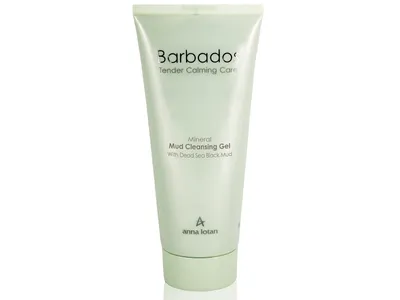 Anna Lotan Mineral Mud Cleansing Gel (Mineralny żel oczyszczający)