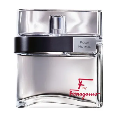 Salvatore Ferragamo F by Ferragamo Pour Homme EDT