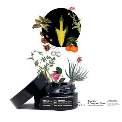 Lovem Tsubaki & Dragon's Blood Eye Cream Concentrate (Krem pod oczy `Tsubaki & smocza krew`)