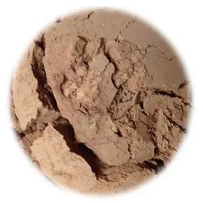 Ocean Mist Cosmetics Mineral Concealer (Mineralny korektor do twarzy)