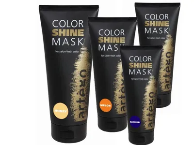 Artego Color Shine Mask  for Salon - Fresh Color (Maska odświeżająca kolor)