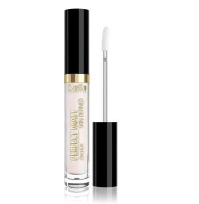 Delia Perfect Matt Skin Defined Concealer (Korektor)