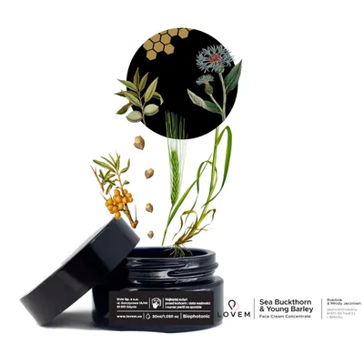 Lovem Sea Buckthorn & Young Barley Face Cream Concentrate (Skoncentrowany krem `Rokitnik & młody jęczmień`)