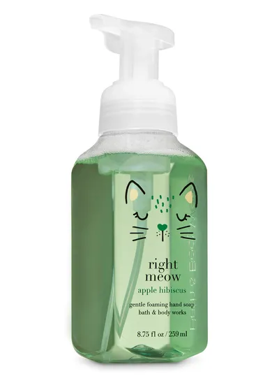 Bath & Body Works Apple Hibiscus, Foaming Hand Soap (Mydło do rąk w piance)