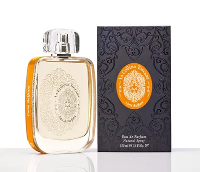 La collina toscana Corte Belfiore EDP