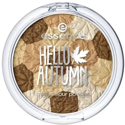 Essence Hello Autumn, Multi Colour Powder (Puder brązująco - rozświetlający)