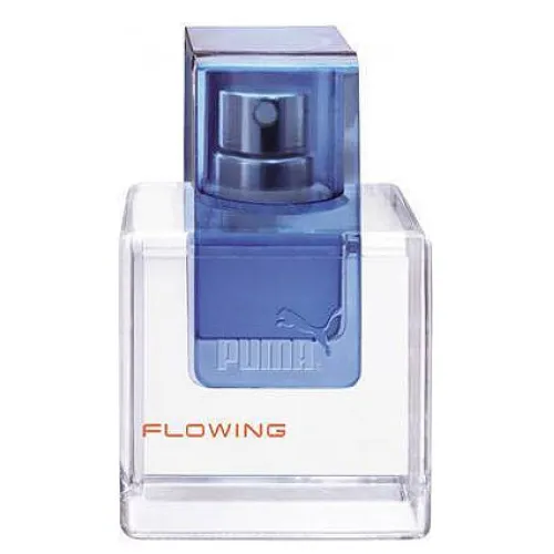 Puma Flowing Man EDT