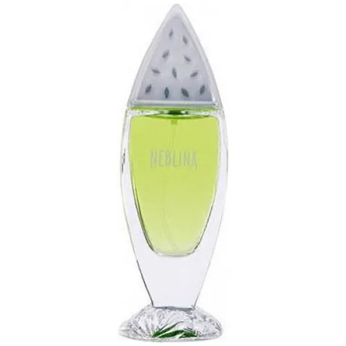 Yves Rocher Neblina