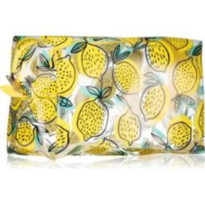 BrushArt Transparent Cosmetic Bag (Przezroczysta kosmetyczka)