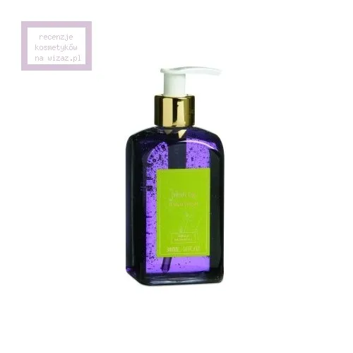 Arran Aromatics Fresh Fig Hand Wash (Mydło w żelu do rąk z ekstraktem z fig)