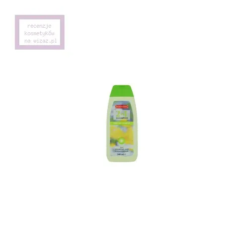 Rossmann 2 in 1 Shampoo (Szampon i odżywka do codziennego stosowania) - 1