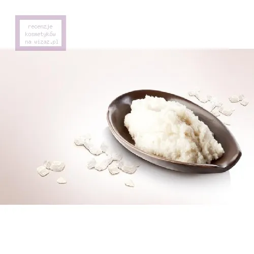Organique Peeling solny z masłem shea (różne rodzaje)
