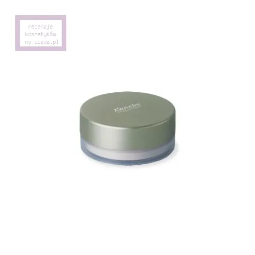 Kanebo Translucent Loose Powder