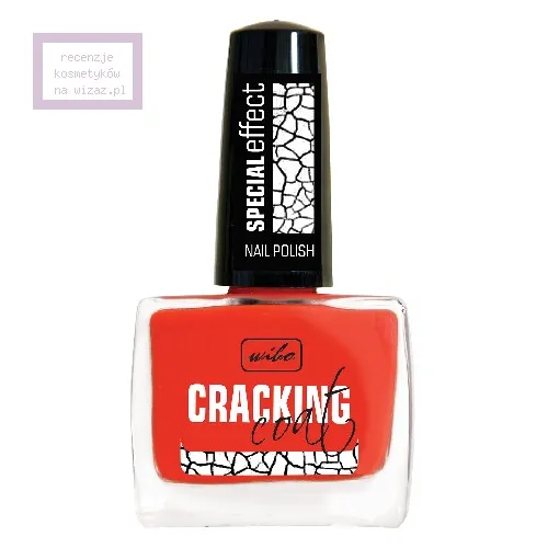 Wibo Cracking Coat, Special Effect Nail Polish (Lakier pękający)