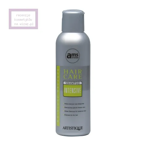 Artistique Hair Care, Intensive Shampoo (Szampon do włosów zniszczonych i słabych)