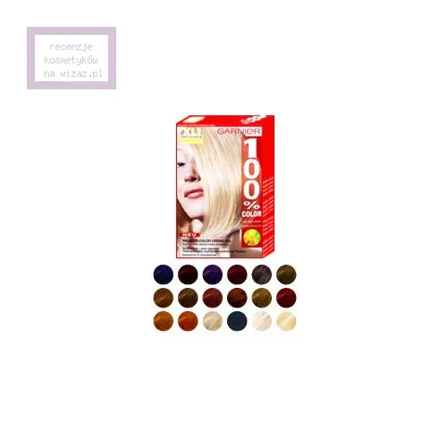 Garnier 100 % Color