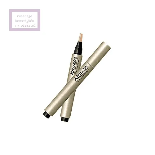Kanebo Concealer (Korektor w pędzelku)