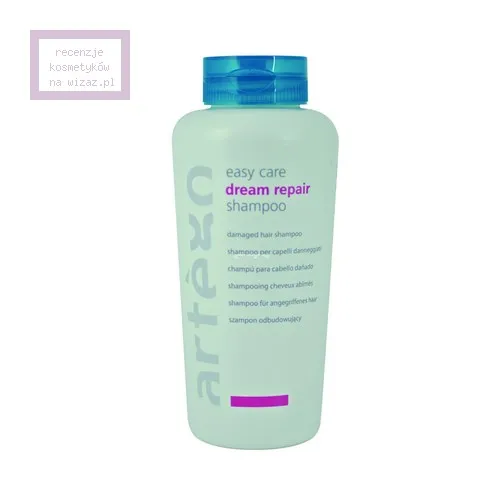Artego Easy Care, Dream Repair Shampoo (Szampon odbudowujący)