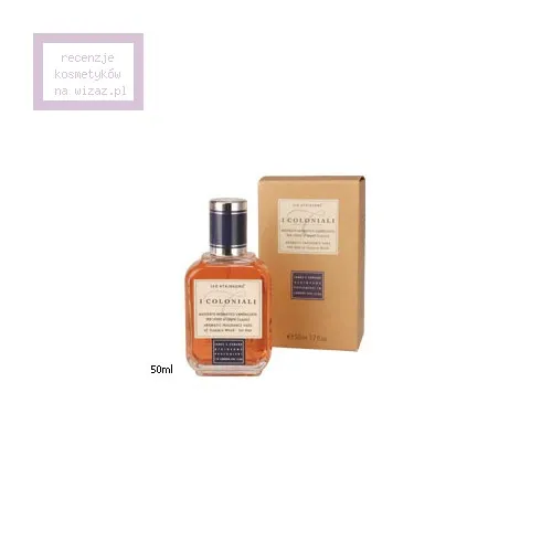 J&E Atkinsons I Coloniali, Guajaco Wood EDT