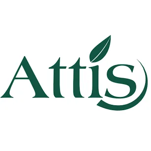 Attis