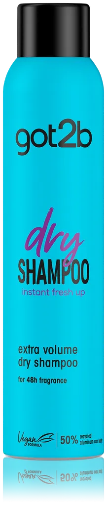 Got2b Fresh It Up!, Volume, Dry Shampoo (Suchy szampon zwiększający objętość włosów)