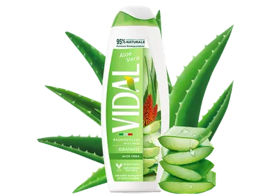 Vidal Aloe Vera Body Wash (Żel pod prysznic `Aloes`)