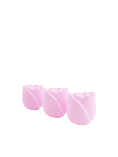 Sinsay Etui na pędzle do makijażu