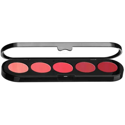 Make-up Atelier Paris Paleta 5 pomadek