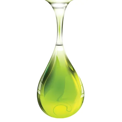 E-naturalne.pl Olej tamanu nierafinowany
