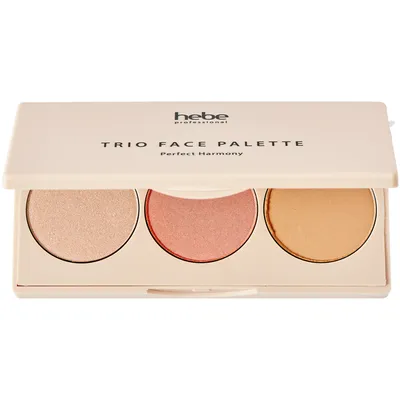 Hebe Professional, Perfect Harmony Trio Face Palette (Paleta do makijażu twarzy)